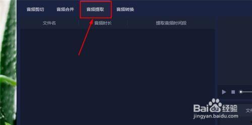 提取视频中的音频,深度解析